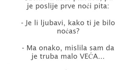 VIC: UDALA SE PLAVUŠA