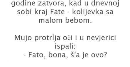VIC: MUJO DOŠ'O KUĆI IZ ZATVORA