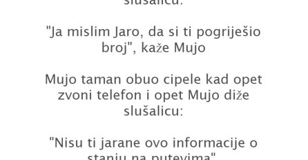 VIC: ZVONI MUJI TELEFON