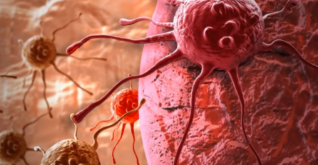 STIGAO LIJEK ZA TEŠKU BOLEST, PROIZVEDENA ĆELIJA KOJA UBIJA SVE VRSTA RAKA: Naučnici je zovu ćelija T, otkrili sve o njoj!