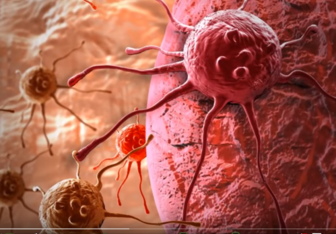 STIGAO LIJEK ZA TEŠKU BOLEST, PROIZVEDENA ĆELIJA KOJA UBIJA SVE VRSTA RAKA: Naučnici je zovu ćelija T, otkrili sve o njoj!