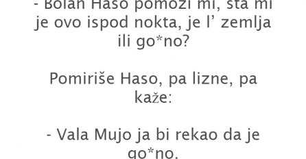 VIC: PITA MUJO JARANA HASU: