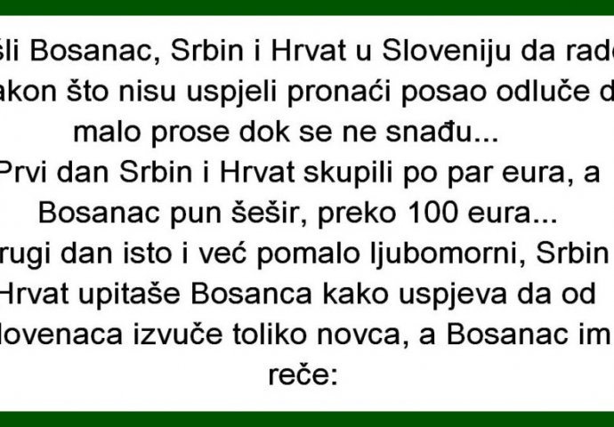 VIC DANA: Otišli Bosanac, Srbin i Hrvat u Sloveniju da rade