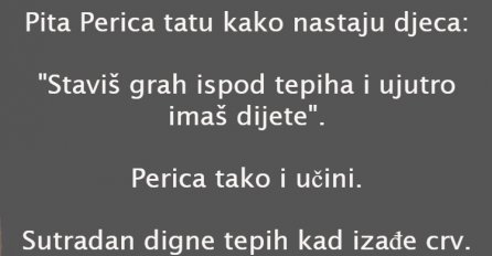 VIC: PERICA PRAVI DJECU