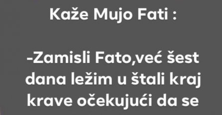 VIC DANA: Kaže Mujo Fati
