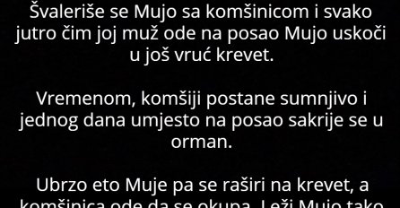 Vic: Švaleriše se Mujo