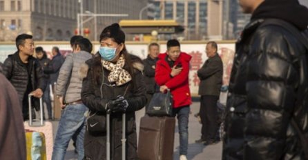 Novo istraživanje pokazalo: Šišmiši su najvjerovatniji uzrok koronavirusa