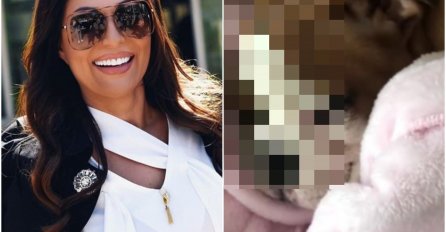 CECA POKAZALA KUĆNOG LJUBIMCA, OVAJ PAS VRIJEDI CIJELO BOGATSTVO! Kada vidite šta mu je obukla danima nećete doći sebi, HIT!