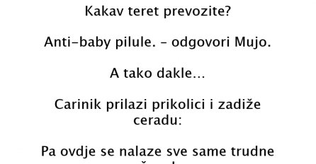 VIC DANA: Mujo i carina