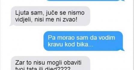 POSLALA SAM PORUKU DEČKU DA VIDIM ŠTO SE NE JAVLJA, A ON VODIO KRAVU KOD BIKA:  Pitala sam zašto baš on, A NJEGOV ODGOVOR ME IZVRNUO SA STOLICE, OVO JE URNEBES