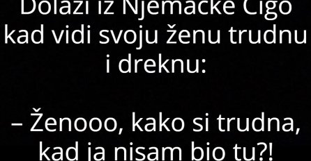 VIC: Cigo se vratio iz Njemačke