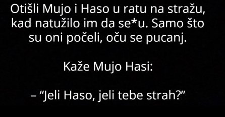 VIC: Mujo i Haso na straži