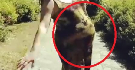 PORODILA SE SPRSKA PJEVAČICA U DUBAIJU, OBJAVILA SLIKU NAKON PORODA: Evo kako izgleda njena beba, SVI ČESTITAJU