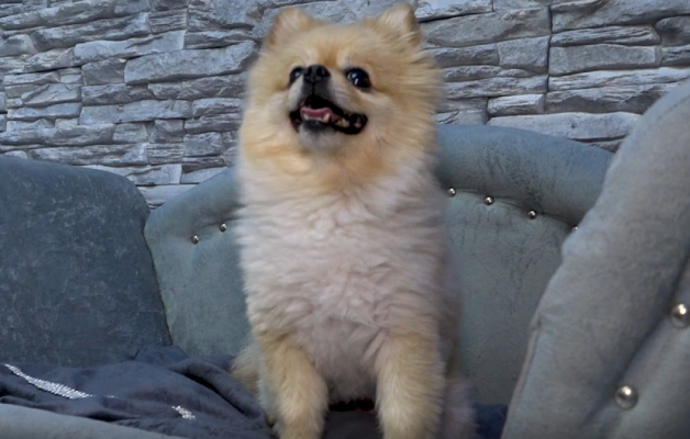 screenshot-22-1000x0