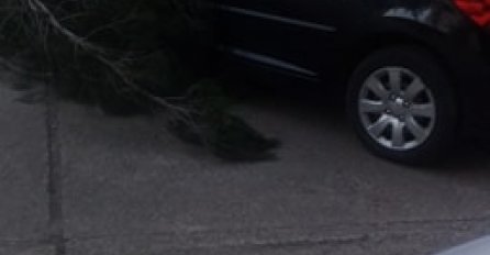 VJETAR ČUPAO DRVEĆE, RUŠIO SVE PRED SOBOM, OLUJA RAZORILA MOSTAR: Evo kako izgleda ovaj grad trenutno izgleda