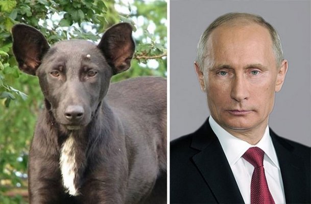 vladimir-putin