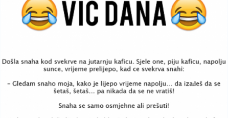 VIC DANA: Svekrva i snaha