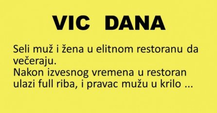 VIC DANA: Naša je ljepša