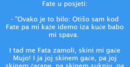 VIC: Mujo u posjeti kod Fate