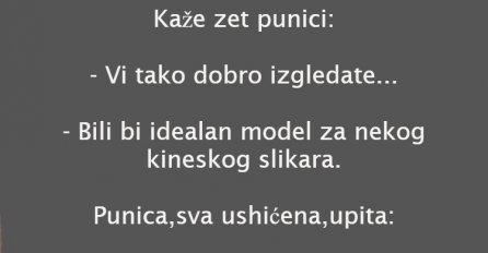 VIC: PUNICA I ZET