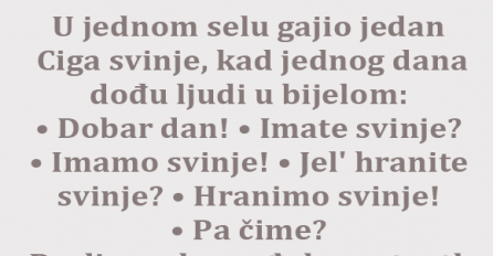 VIC DANA: Ciga i svinje