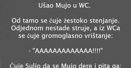 VIC: MUJO U WC-U