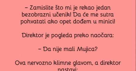 VIC: BIJESNA UČITELJICA