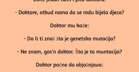 VIC: Ciga i bijela djeca