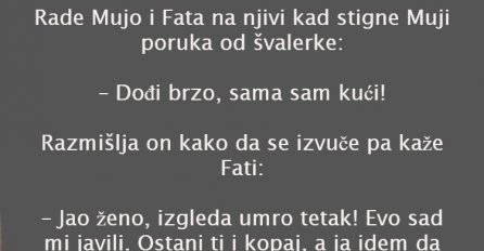 VIC: MUJO I FATA NA NJIVI