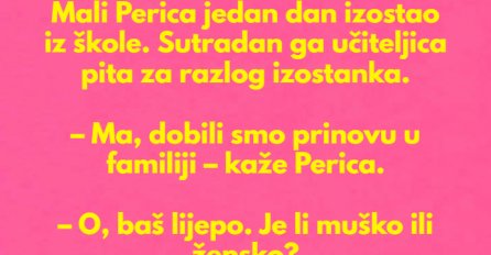 VIC DANA: Prinova kod Perice