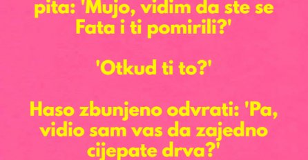 VIC DANA: Cjepaju drva