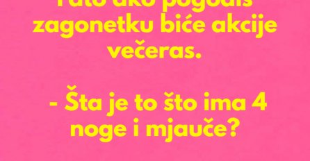 VIC DANA: Fata pogađa zagonetku