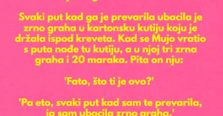 VIC DANA: Otišao Mujo na službeni put