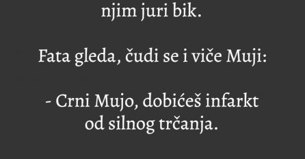 VIC: Trči Mujo po dvorištu