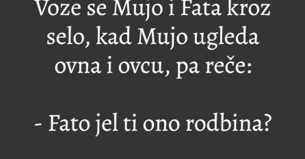 VIC: Mujo i Fata na selu