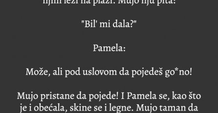 VIC: Mujo sanja Pamelu