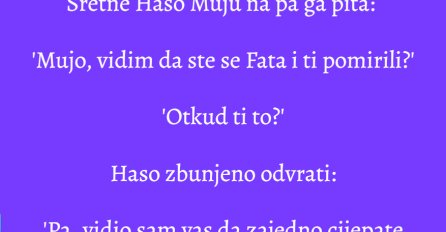 VIC: Mujo i Fata cijepaju drva