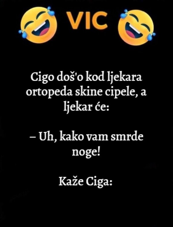 83211311-469352807080787-7984645791572557824-n