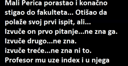 VIC DANA: Perica na fakultetu