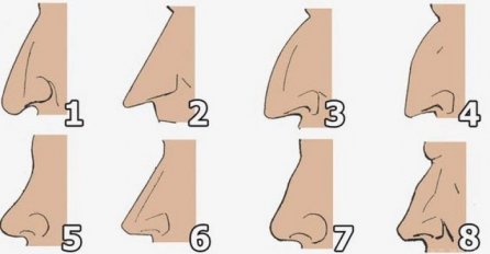 KOJI JE VAŠ NOS? OBLIK NOSA OTKRIVA NEŠTO VAŽNO O VAMA: Svima je pogodilo!