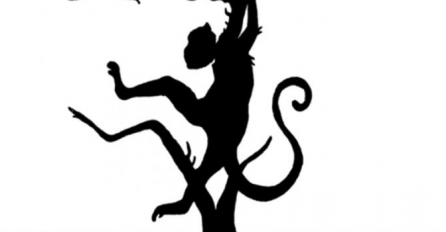 KOJU ŽIVOTINJU VIDITE, MAJMUNA ILI TIGRA? Ova slika otkrit će VAŽNE stvari o vašoj LIČNOSTI, najtačniji TEST do sada