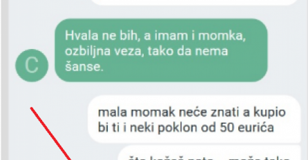 ZNAO SAM DA IMA DEČKA, ALI SAM JOJ PONUDIO PARE DA IZAĐE SA MNOM: Kad mi je na kraju OVO napisala ZGROZIO SAM SE, ONA JE SRAMOTA ZA ŽENSKI ROD!