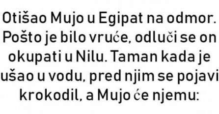 VIC : Mujo u Egiptu na odmoru