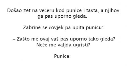 VIC DANA: Kod punice