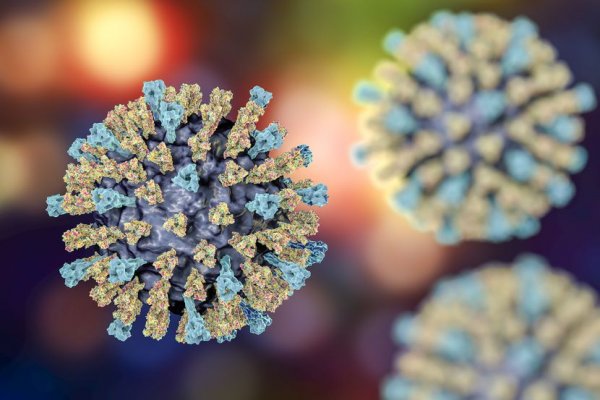 korona-virus-bakterija-grip-bolest-zaraza-epidemija-5-830x0