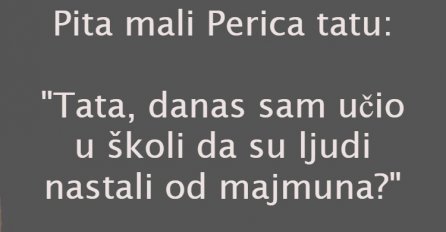 VIC: PERICA PITA TATU