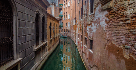 LABUDOVI I DELFINI SE VRATILI U VENECIJU: Grad u karanteni, A OVI PRIZORI OBILAZE SVIJET (FOTO)