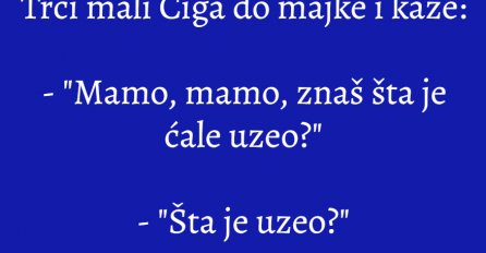 VIC: Trči mali Ciga