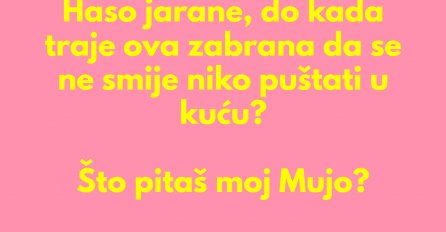 VIC DANA: Haso jarane, do kada traje ova zabrana