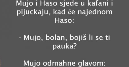 VIC: Mujo i strahovi